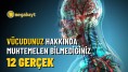 İnsan anatomisi hakkında bilmediğiniz 12 gerçek!