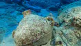 Akdeniz'in derinliklerinde 4 bin 700 yıllık tarih: Dünyanın en eski batığı Kekova'da bulundu