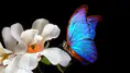 Doğanın gizli mimarları: Çiçekler dünyayı nasıl yönetiyor?