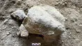 Bilecik'teki Gedikkaya Tepesi'nde 16 bin yıllık kaplumbağa heykelcikleri bulundu