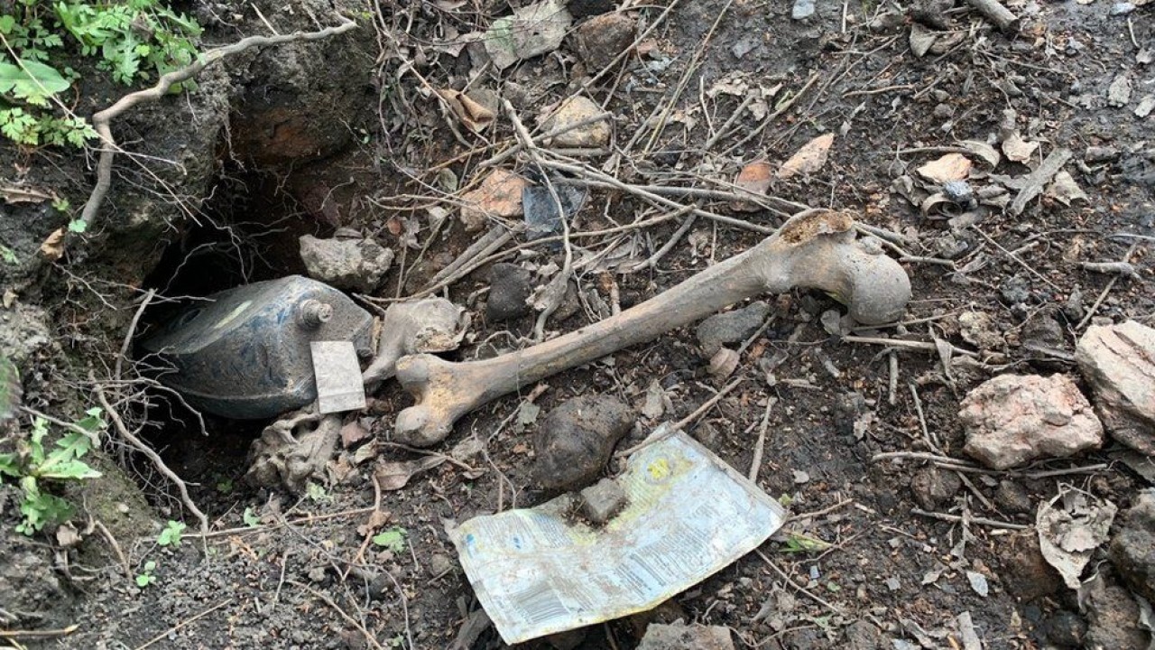 Evin bahçesinde bulunan insan kemiklerinin sorumlusu porsuklar çıktı!