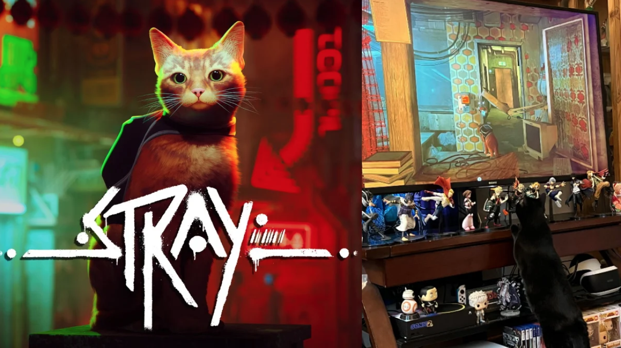 Sevilen kedi oyunu Stray Mac'lere geliyor!