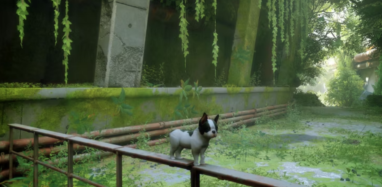 Köpek severler için Stray “köpek” modu geldi!