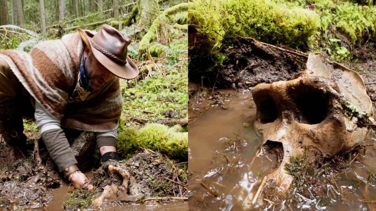 Bir YouTuber,  'Koca Ayak'ın kafatasını bulduğunu iddia etti