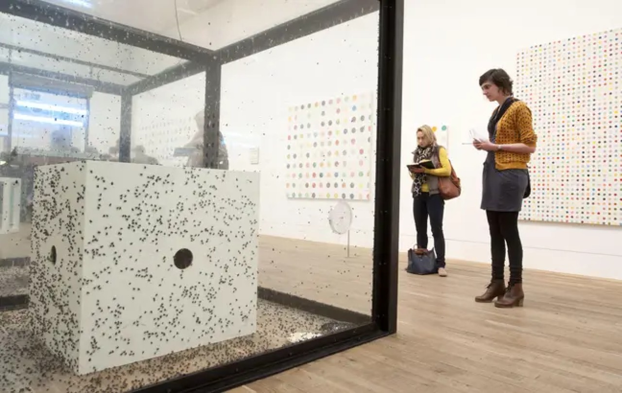 Canlı sinekleri kullanan ünlü sanat eseri,  PETA şikayeti üzerine müzeden kaldırıldı!