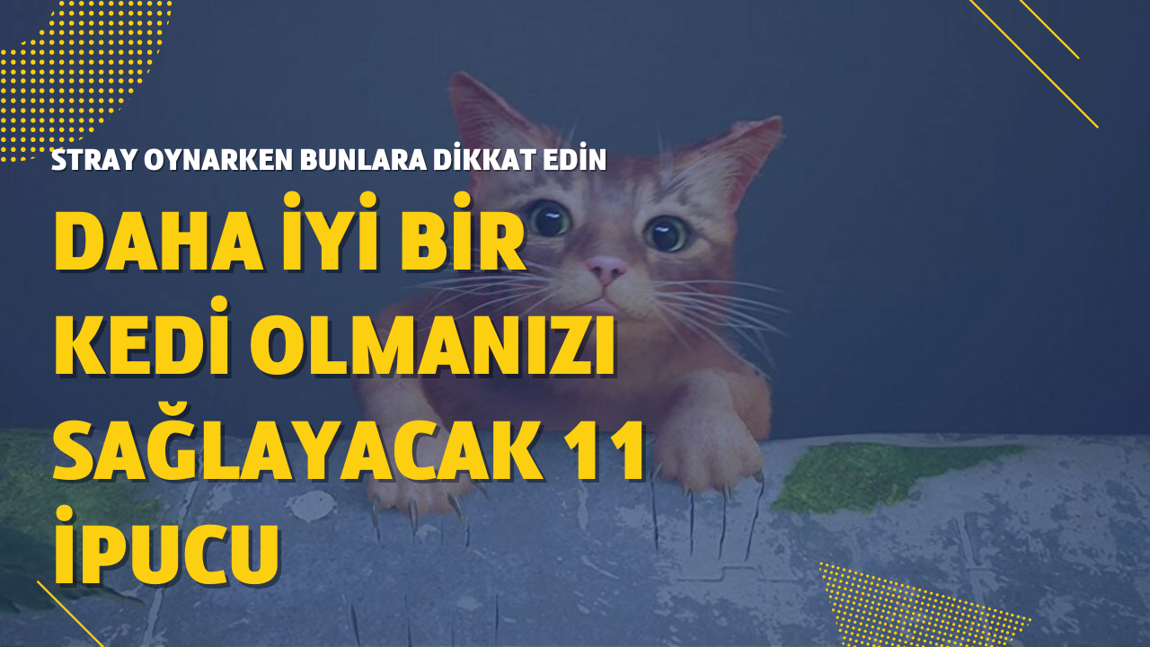 Son günlerin sevilen oyunu Stray ile ilgili 11 harika ipucu