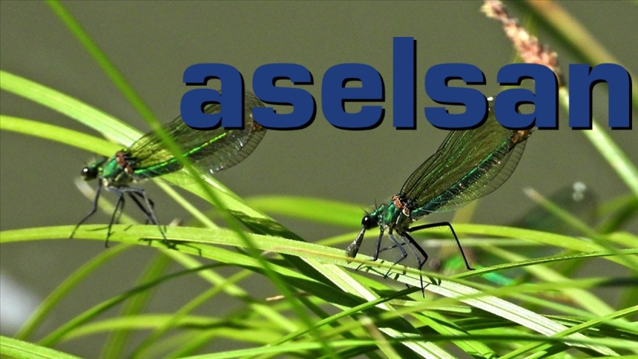 ASELSAN böcek boyutunda İHA'lar üretecek