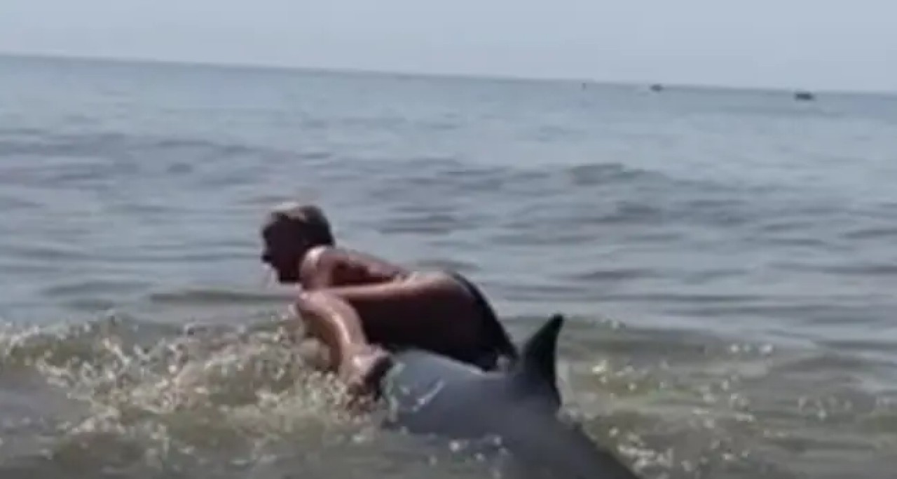 Yunusun sırtına çıkıp yolculuk yapmaya çalıştı! Sosyal medyada linçlendi