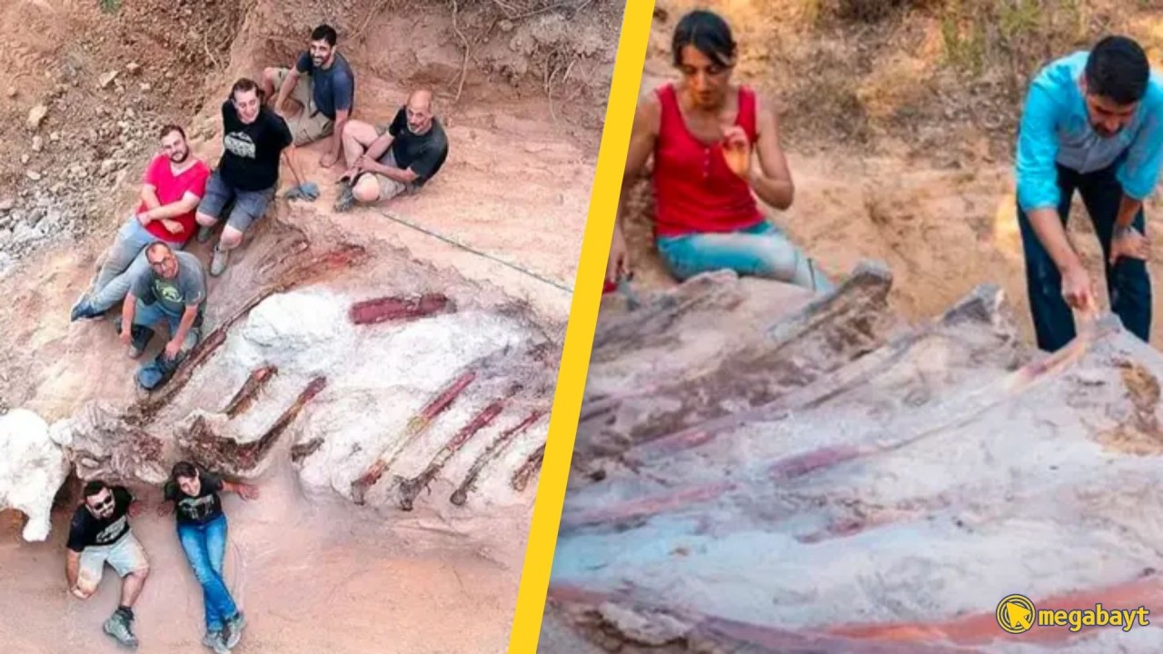 Evinin bahçesinde 24 metrelik dinozor iskeleti keşfetti!