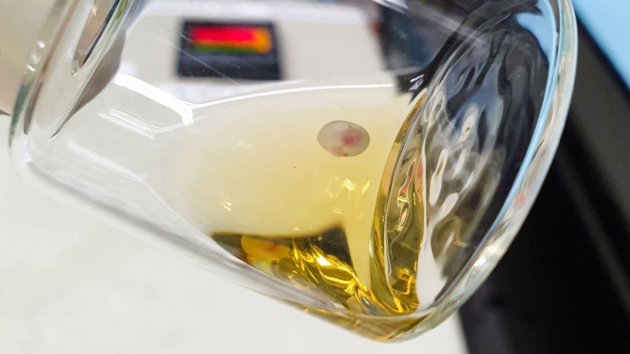 Dünyanın ilk sentetik embriyoları! Yumurta,  sprem ve rahim gerekmeden oluşturuldular