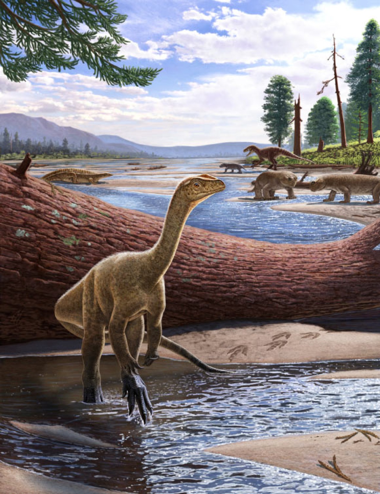 Afrika'nın bilinen en yaşlı dinozoru: Mbiresaurus raathi