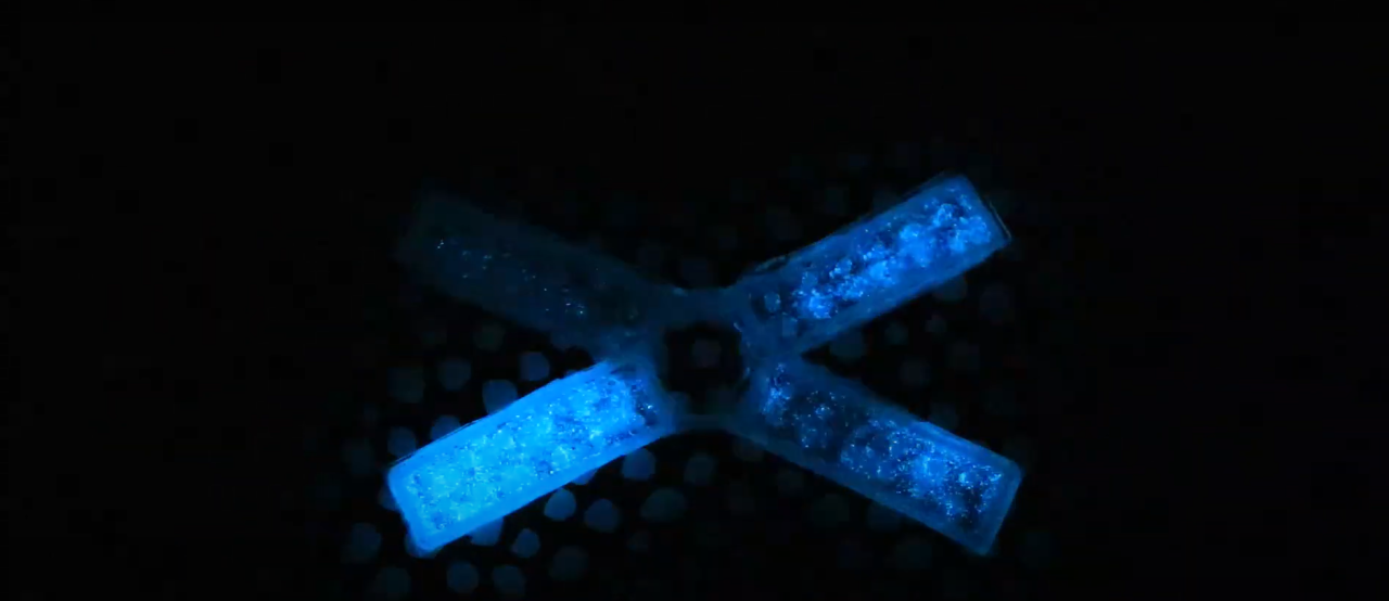 Ezildiğinde karanlıkta parlayabilen algli cihaz ürettiler