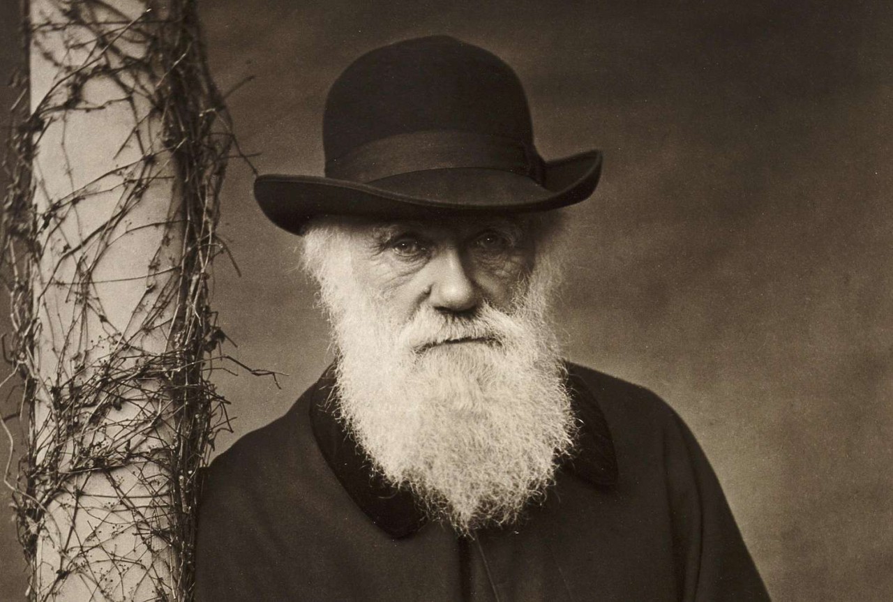 Charles Darwin'in hayatı boyunca yaptığı tüm yazışmalar yayınlandı: Siz de okuyabilirsiniz