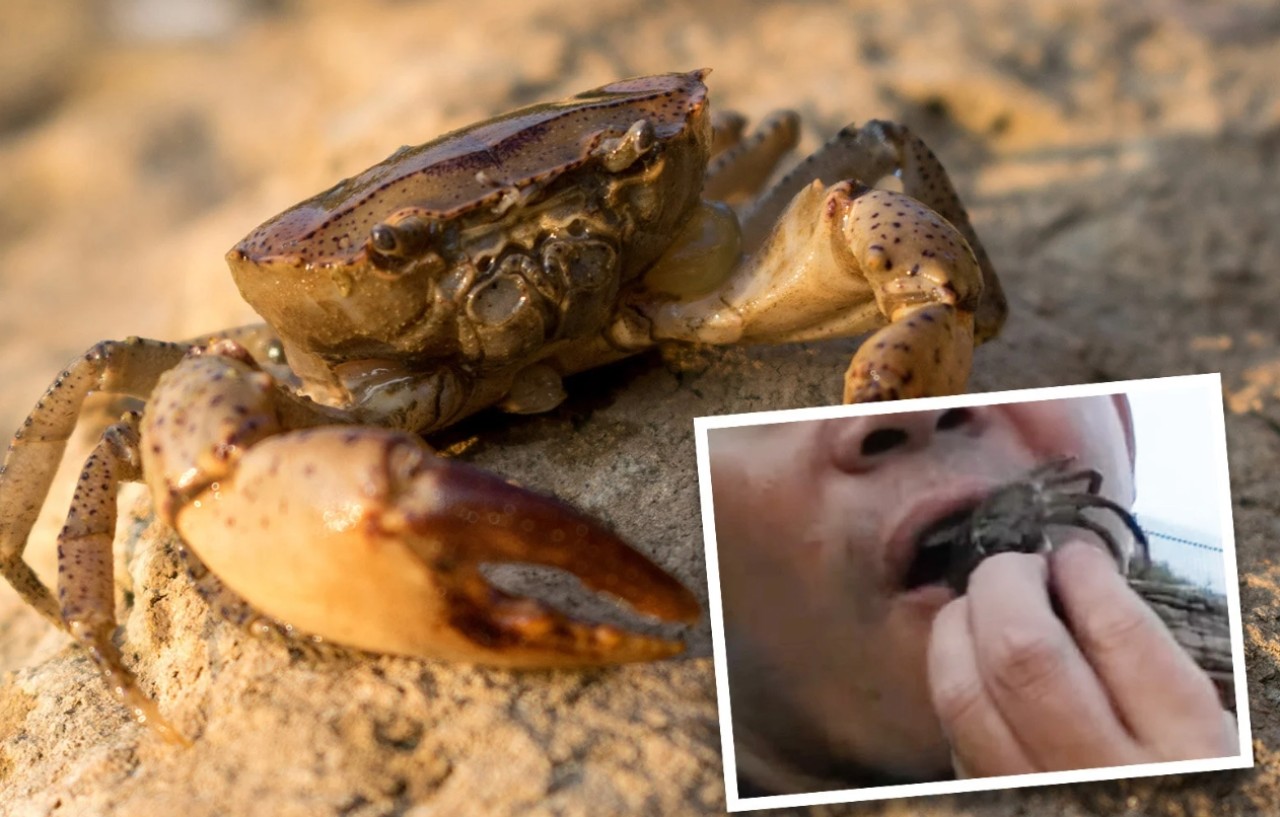 Kızının intikamını almak için canlı yengeç yiyen adam ölümden döndü