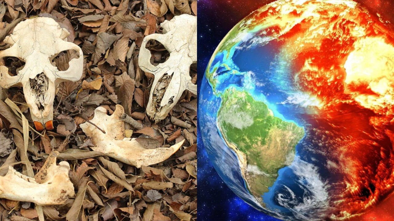 Süper bilgisayar,  Dünya'nın 2100 yılına kadar kitlesel bir yok oluş yaşayacağını tahmin ediyor