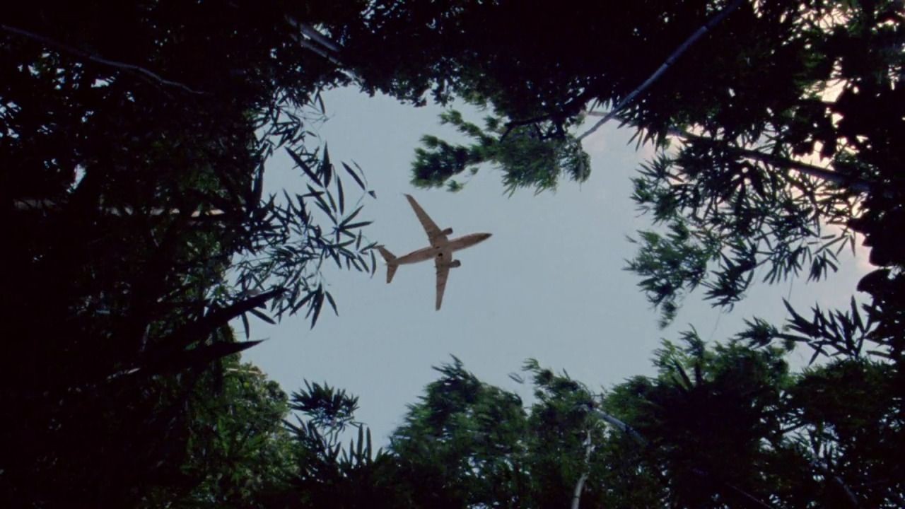 Uçağın acil iniş yapması üzerine Pasifik Okyanusu'nun ortasındaki adada mahsur kaldılar!