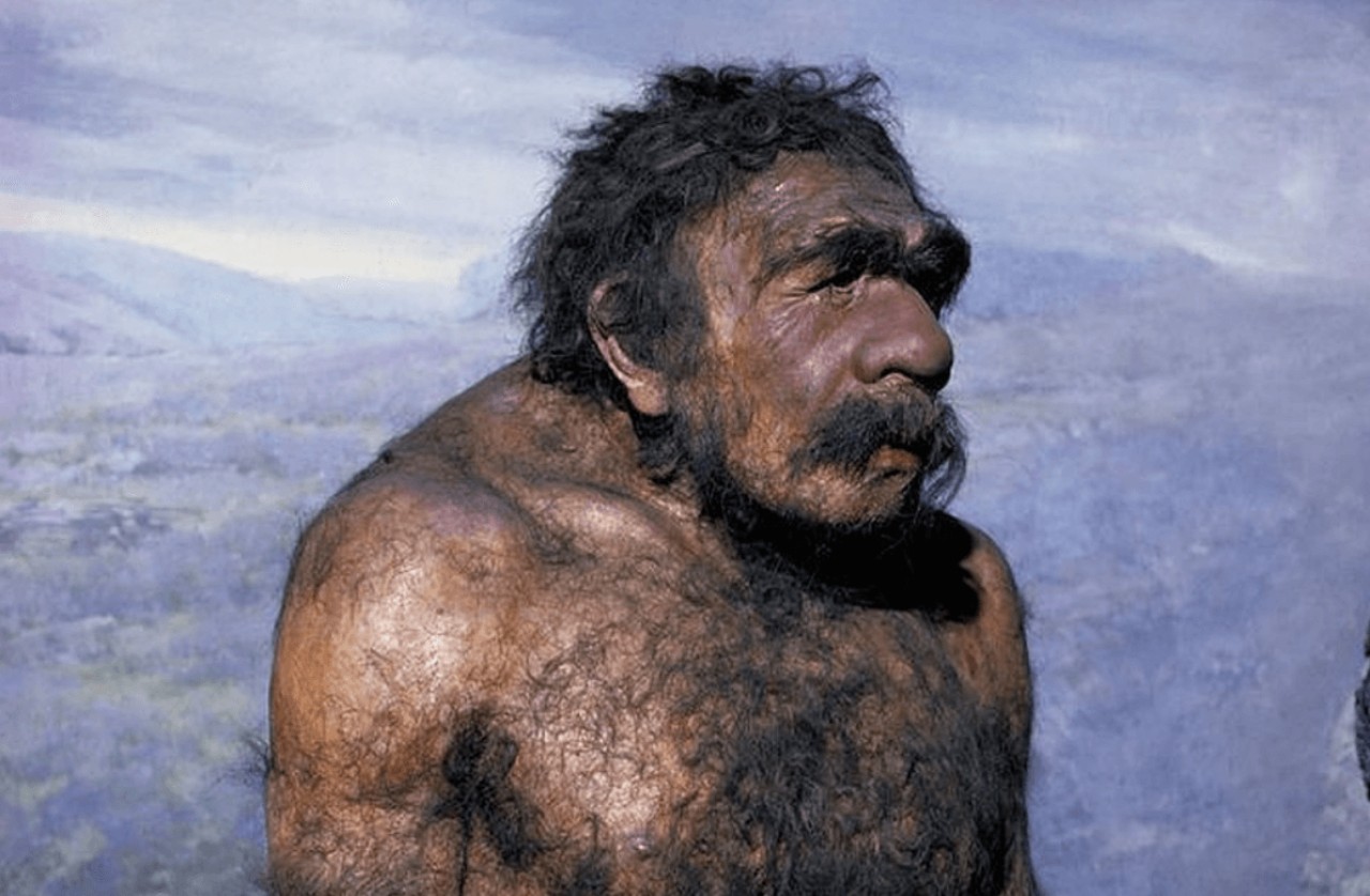 Bilim insanları,  saç dökülmesini tersine çeviren 'mağara adamı genleri' keşfetti