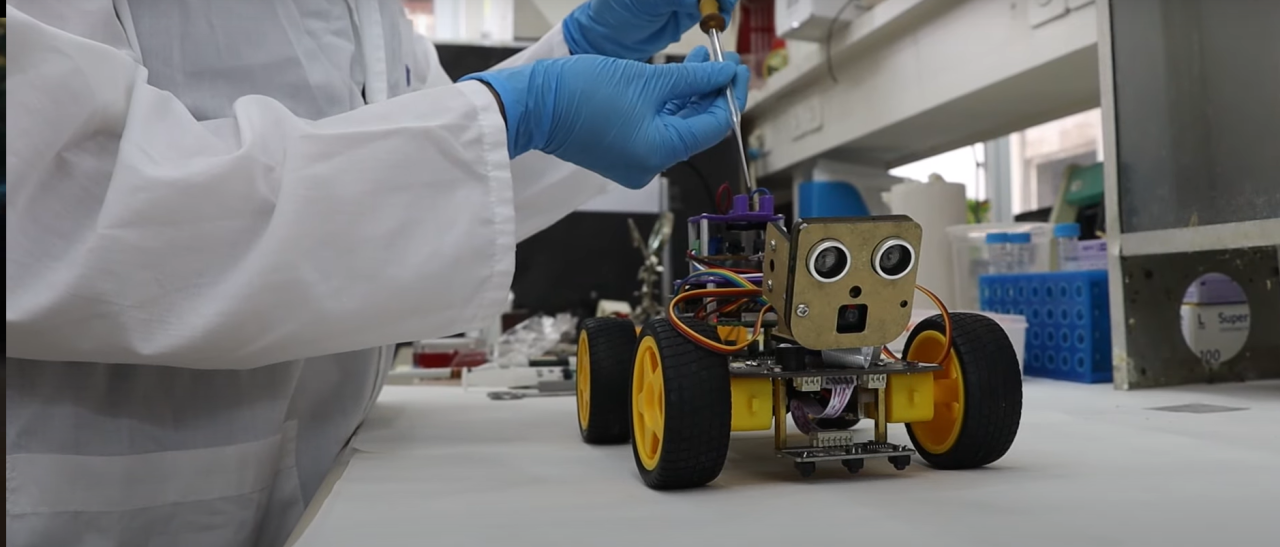 Robotlar koku alacak: Çekirge antenlerini yapay zeka ile birleştirdiler