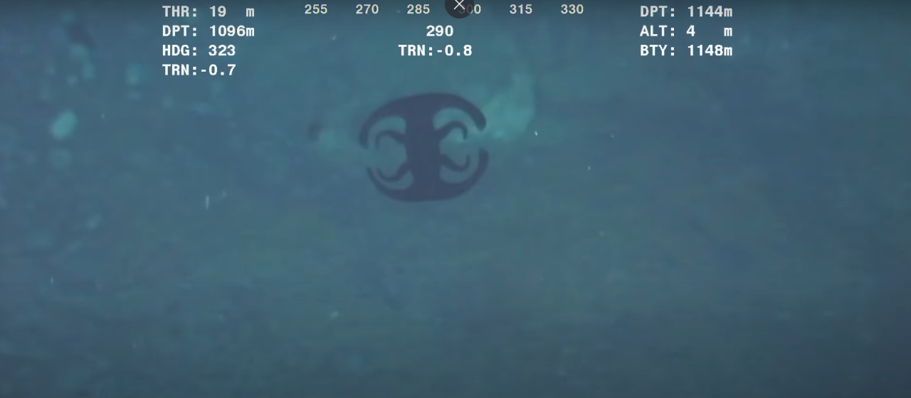 Okyanusun 1.130 metre altında bulunan 'uzaylı yaratık' sosyal medyayı salladı -VİDEO