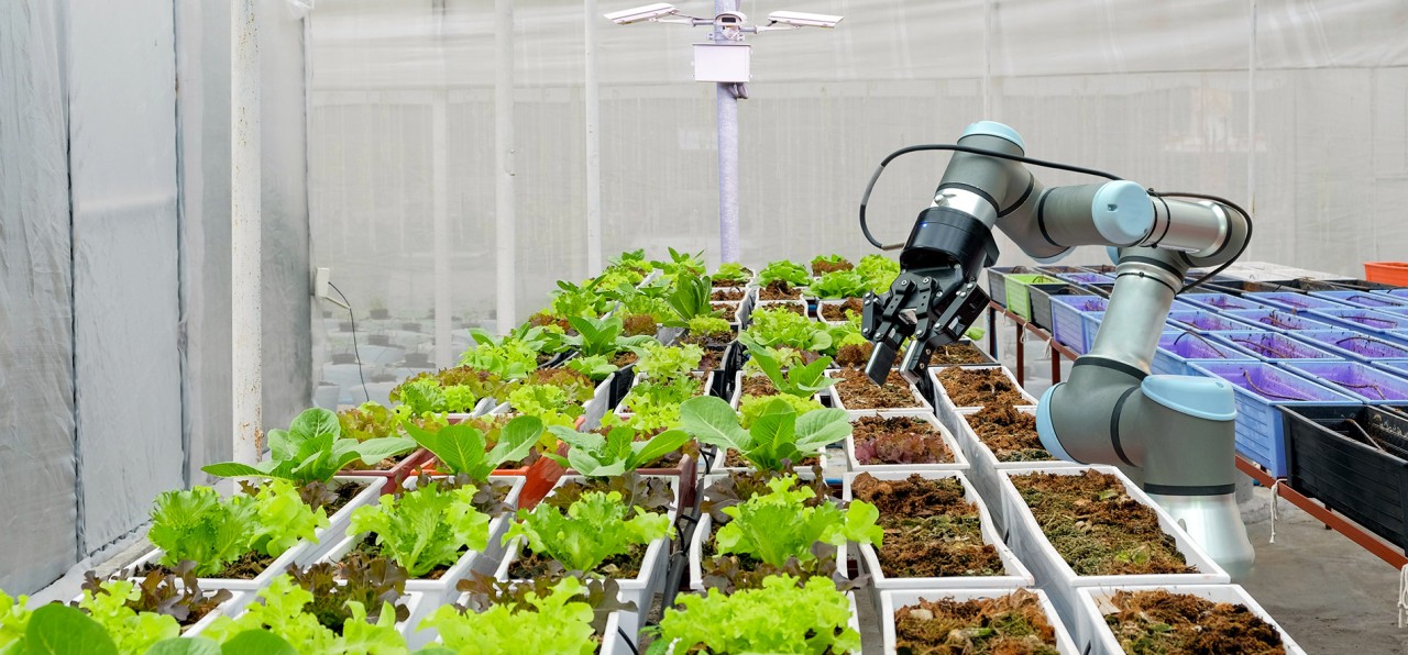 Tarım sektöründe robot ve yapay zeka teknolojisi kullanılıyor!