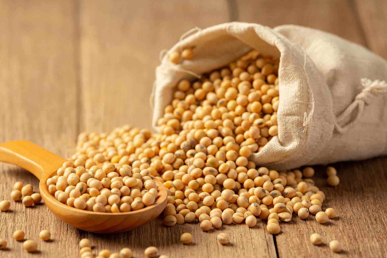 Veganlık,  çevreye daha çok mu zarar veriyor? Bilim insanları cevapladı