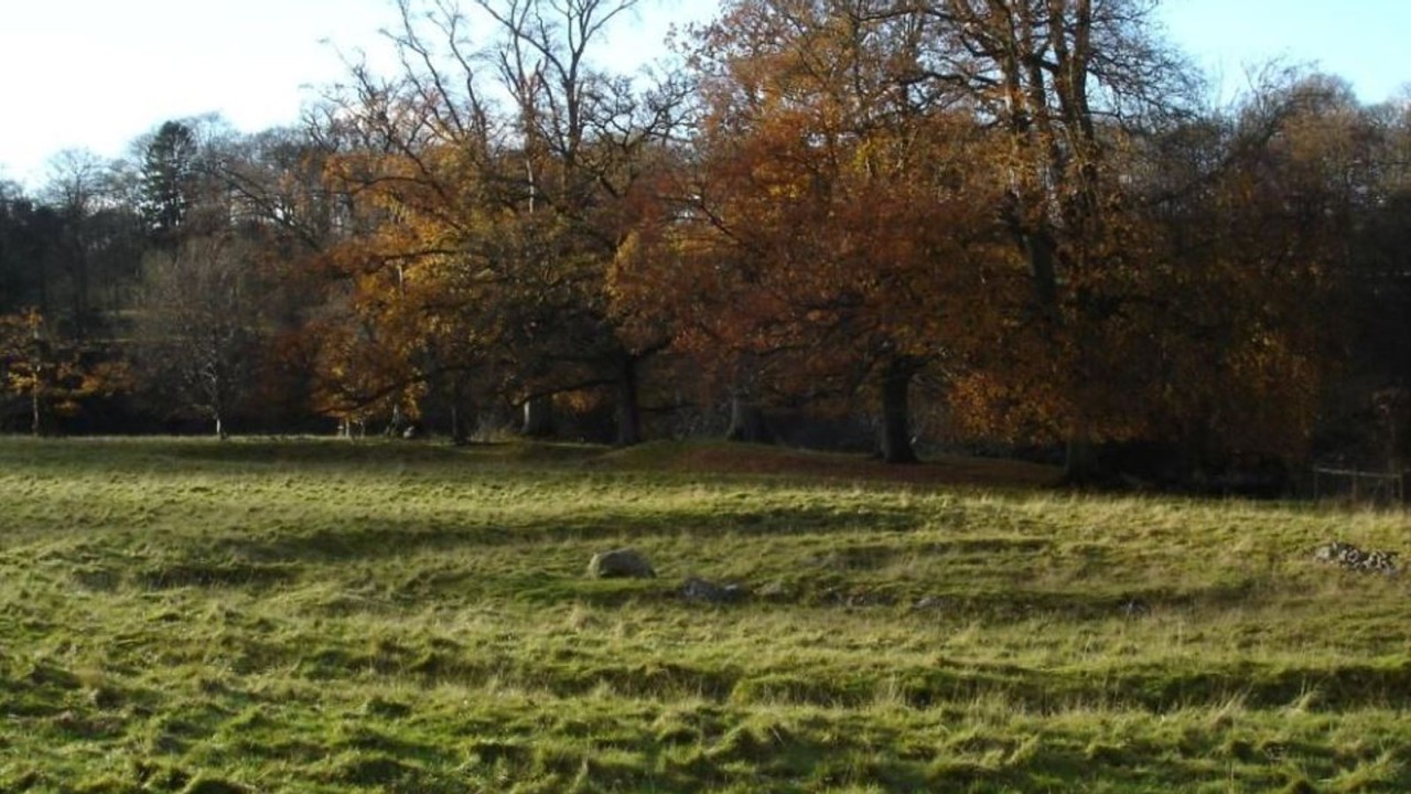 4.000 yıllık veba DNA'sı antik hastalığa ışık tutabilir!