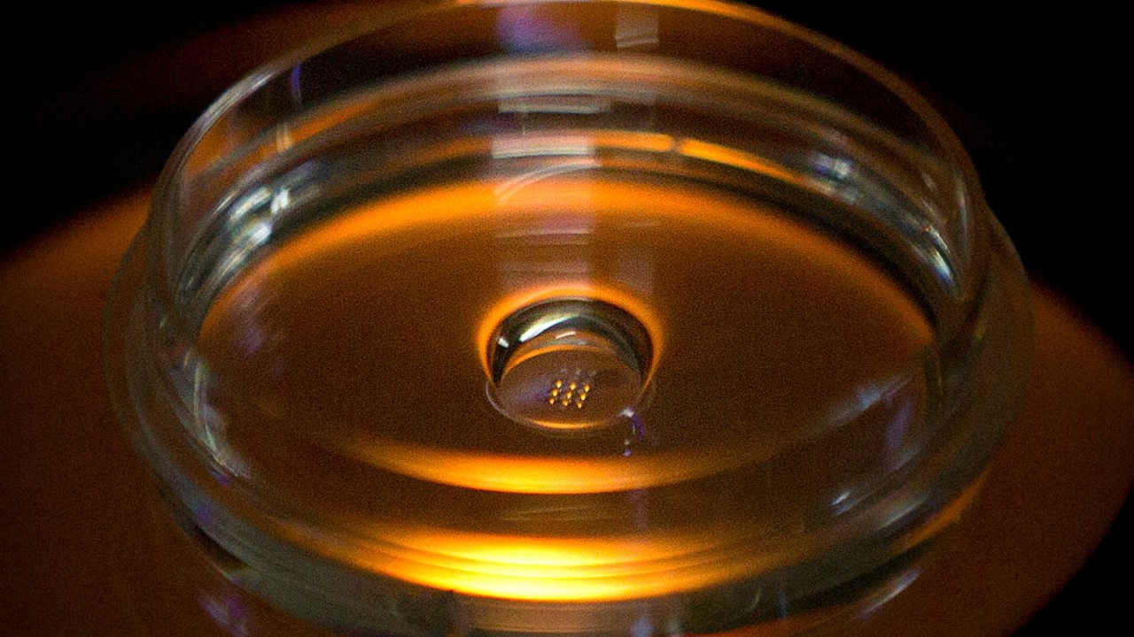 Kök hücrelerle sentetik embriyo yarattılar!