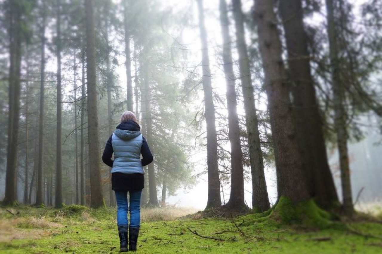 İklim değişikliği ile mücadelede yetersiz fide engeli!