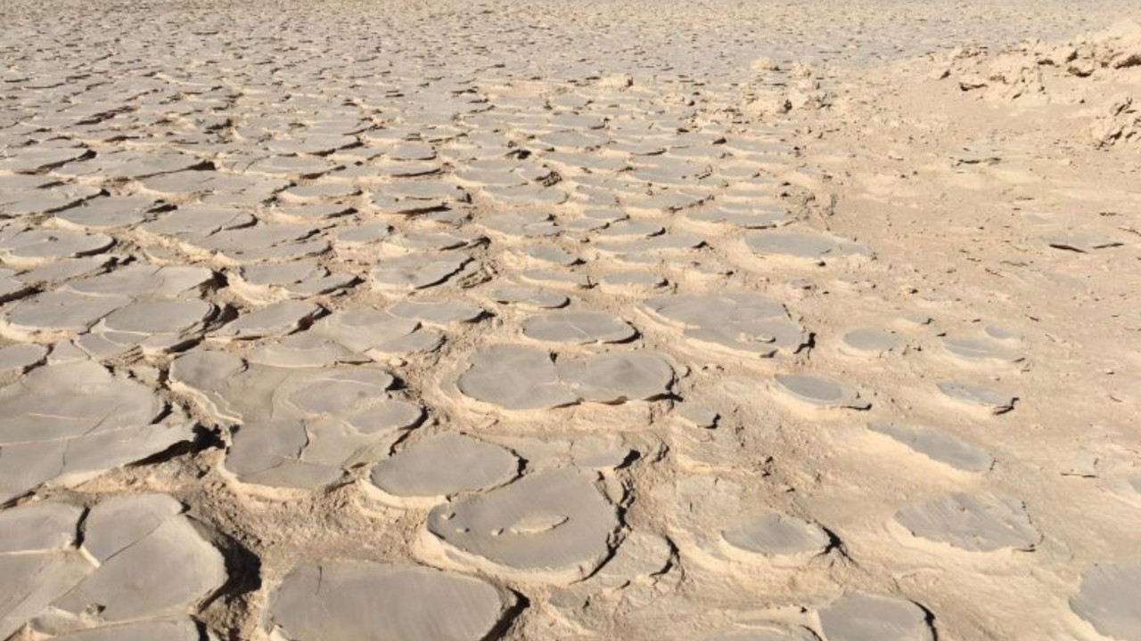 Burada yaşam kanıtlarının bulunması imkansız olarak görülüyordu! Yerin 4 metre altından çıktı