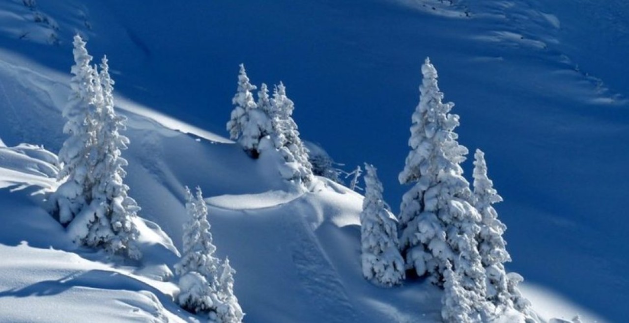 Bilim insanları bazı insanların neden soğuğa daha dirençli olduğunu buldu