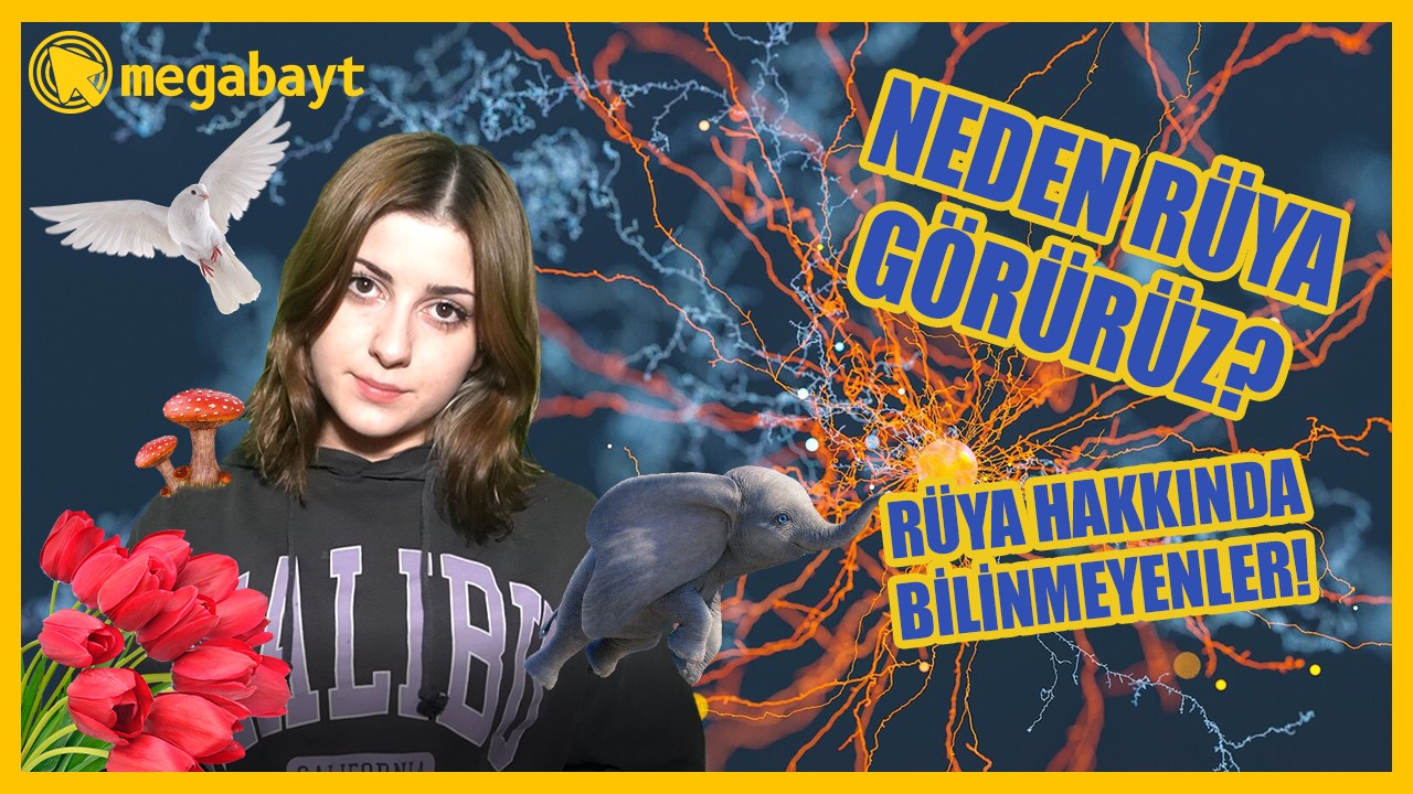 Neden rüya görürüz,  rüya görmek sağlıklı mıdır? Sizin için bazı cevaplarımız var...