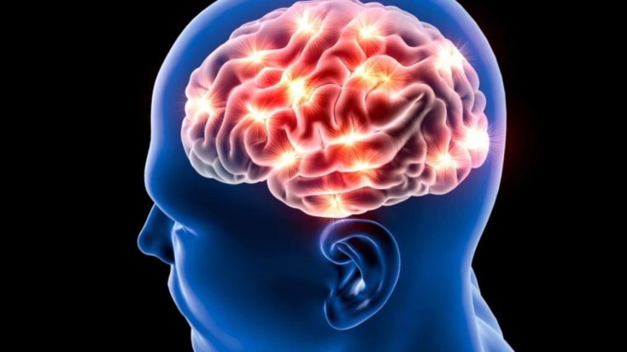 İnsanlar neden büyük bir beyne sahip?