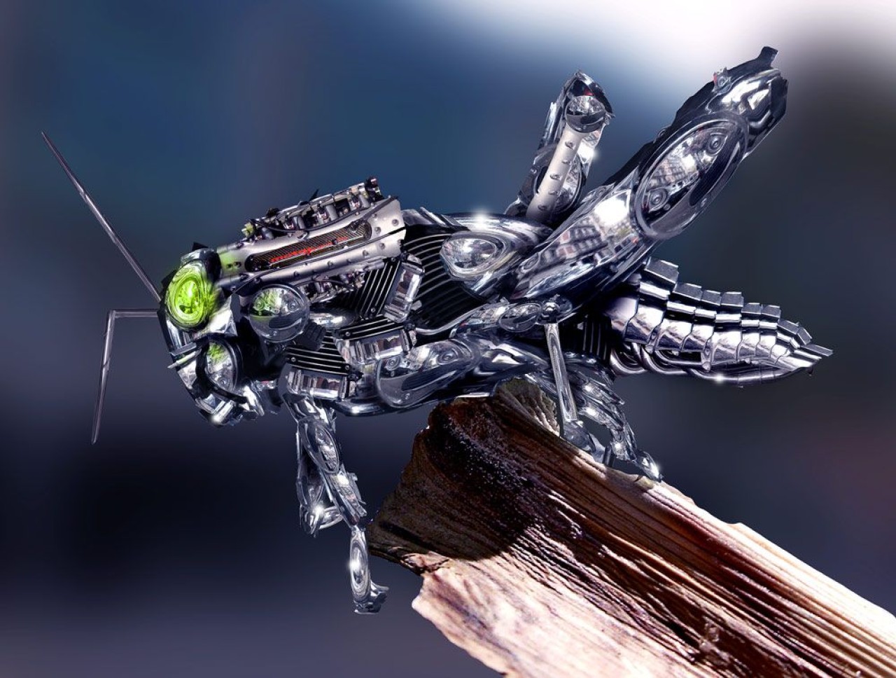 Bilim insanları ölü bir çekirge ile robota duyma yetisi kazandırdı!