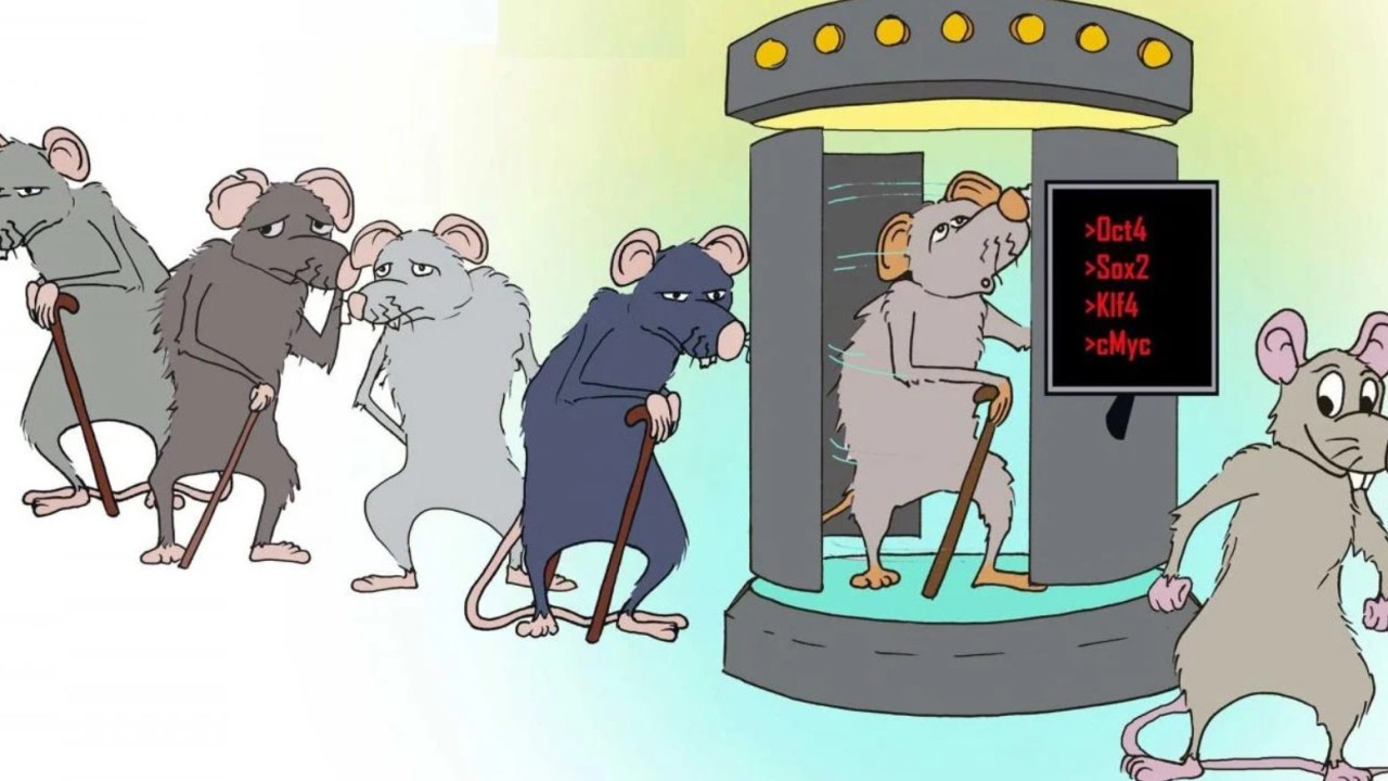 Yaşlanma korkusunu tarihe karıştıracak 9 bilimsel buluş