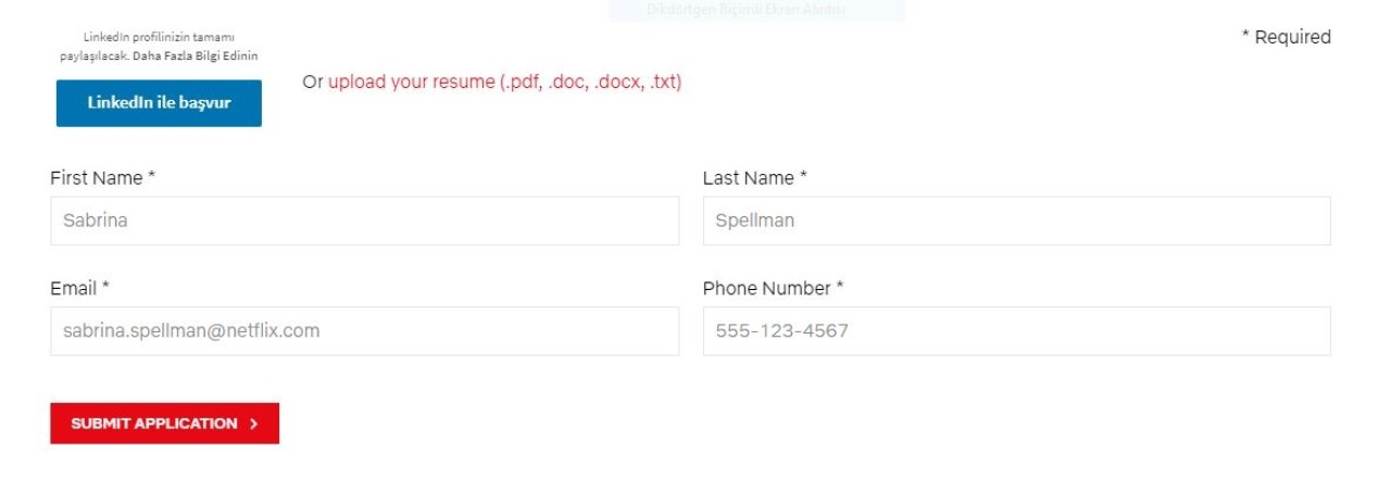 Netflix'te çalışmak ister miydiniz? Netlix Türkiye'de açılacak ilk ofisi için ilan yayınladı...