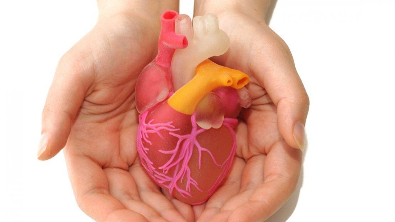 Bilim insanları,  susam büyüklüğünde yapay kalp geliştirdi