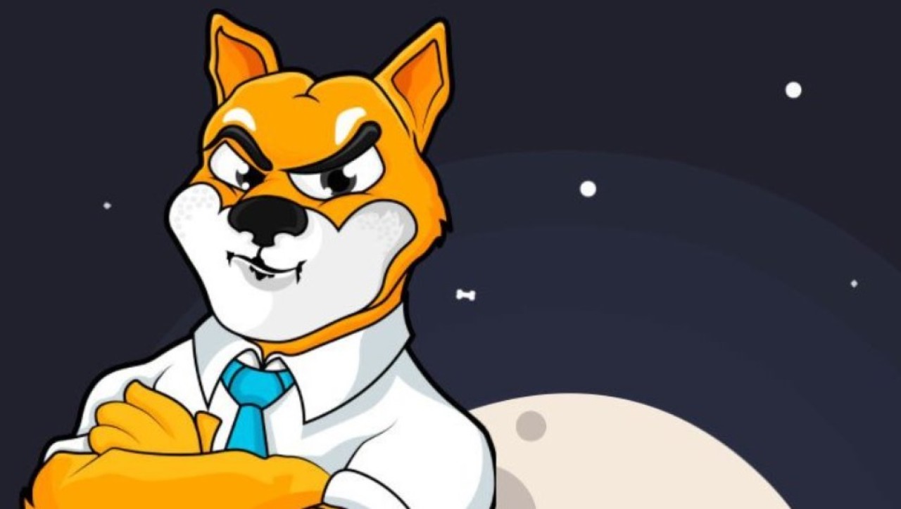 Kripto para Shiba Inu,  Elon Musk'ın attığı bir tweet ile yükselişe geçti