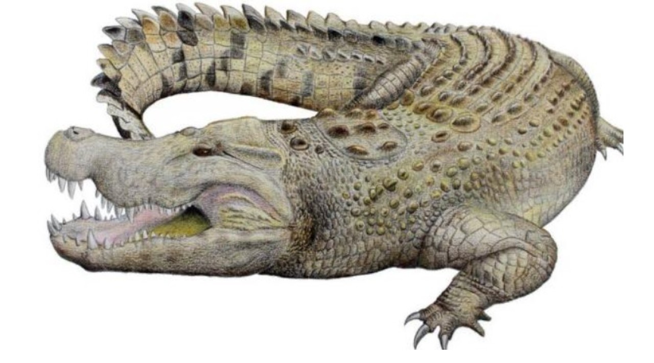 Milyonlarca yıl önce yaşamış Timsah türü keşfedildi