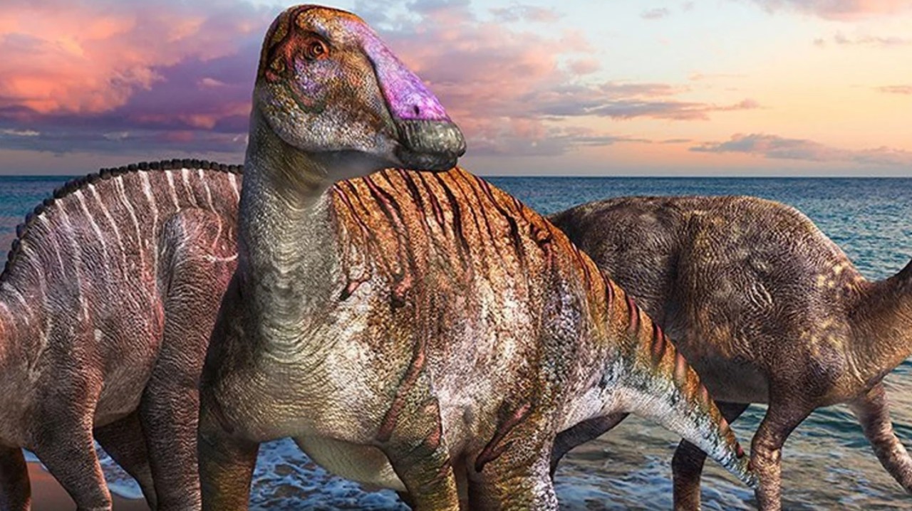 Yeni bir dinozor türü keşfedildi