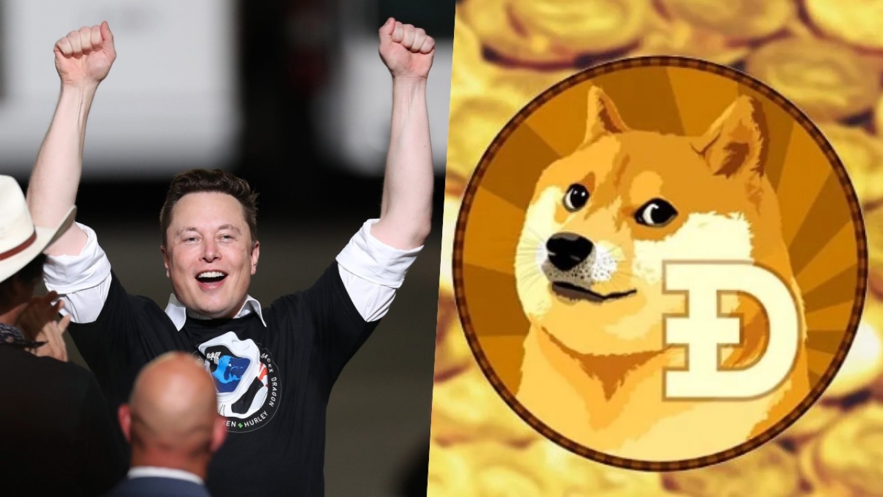 Elon Musk'tan Dogecoin anketi!