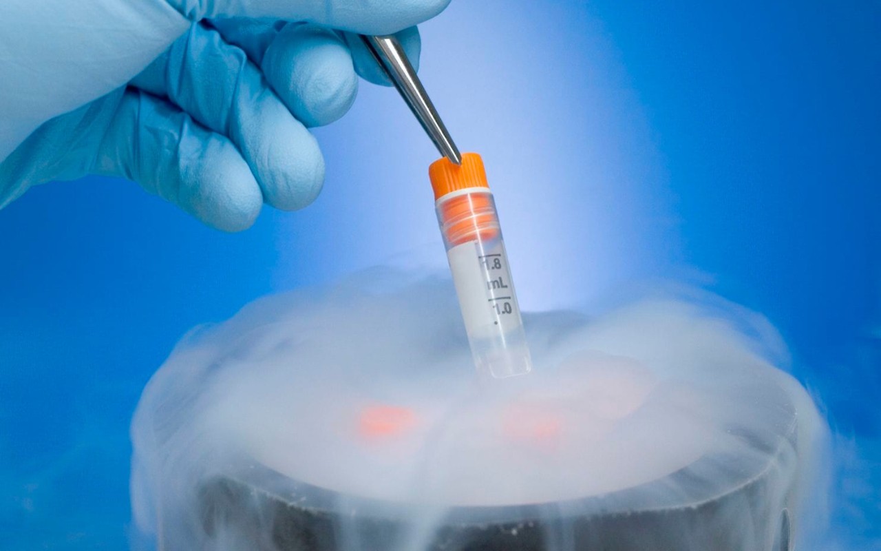 Tüp bebek tedavisinde devrim yaratacak yeni bir yöntem geliştirildi!