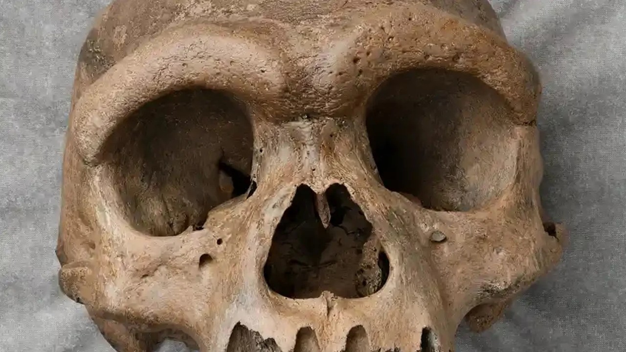 Çin'de yeni bir insan türüne ait kafatası bulundu!