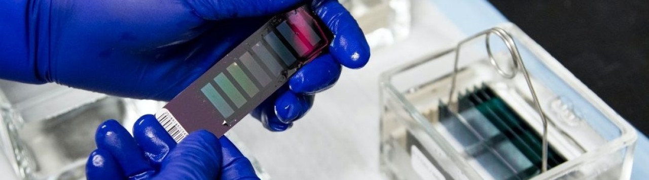 İsrail ve İsveç'ten Türkiye'ye yazılım ambargosu