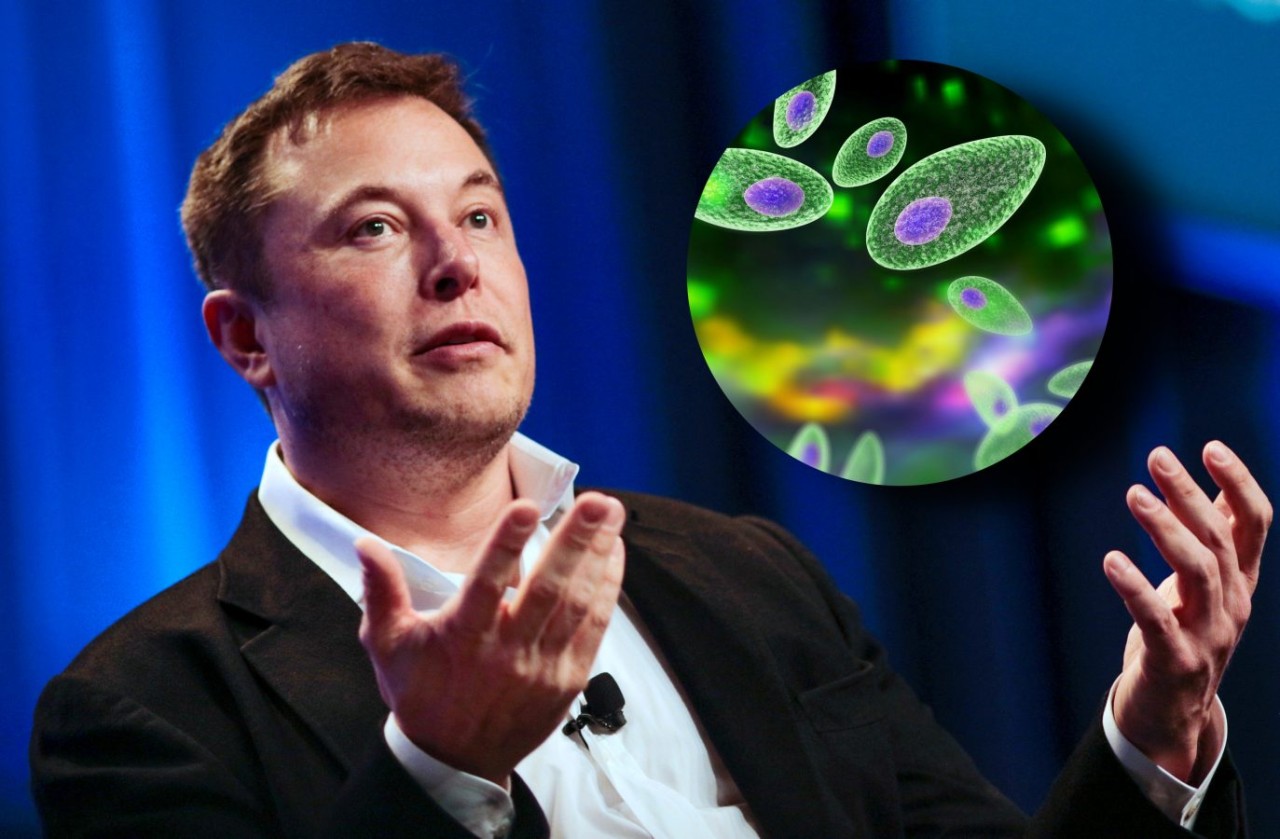 Elon Musk: Toksoplazma paraziti insanlığı yönetecek