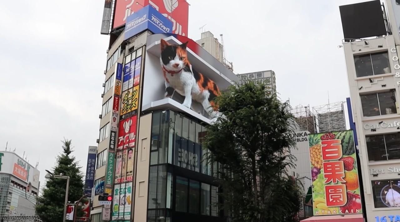 Yine Japonlar! Dev 3D kedi yeni yuvasını buldu...