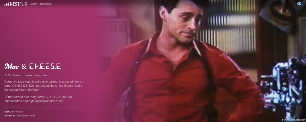 Sahte filmlerin ve dizilerin toplandığı "Nestflix" erişime açıldı