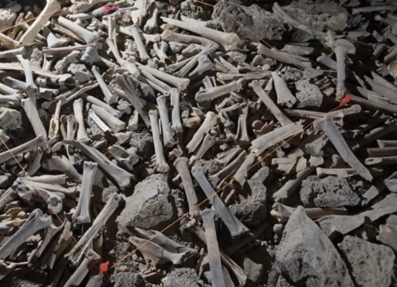 Dev mağarada yüz binlerce kemik bulundu! İnsan kemiği de var...