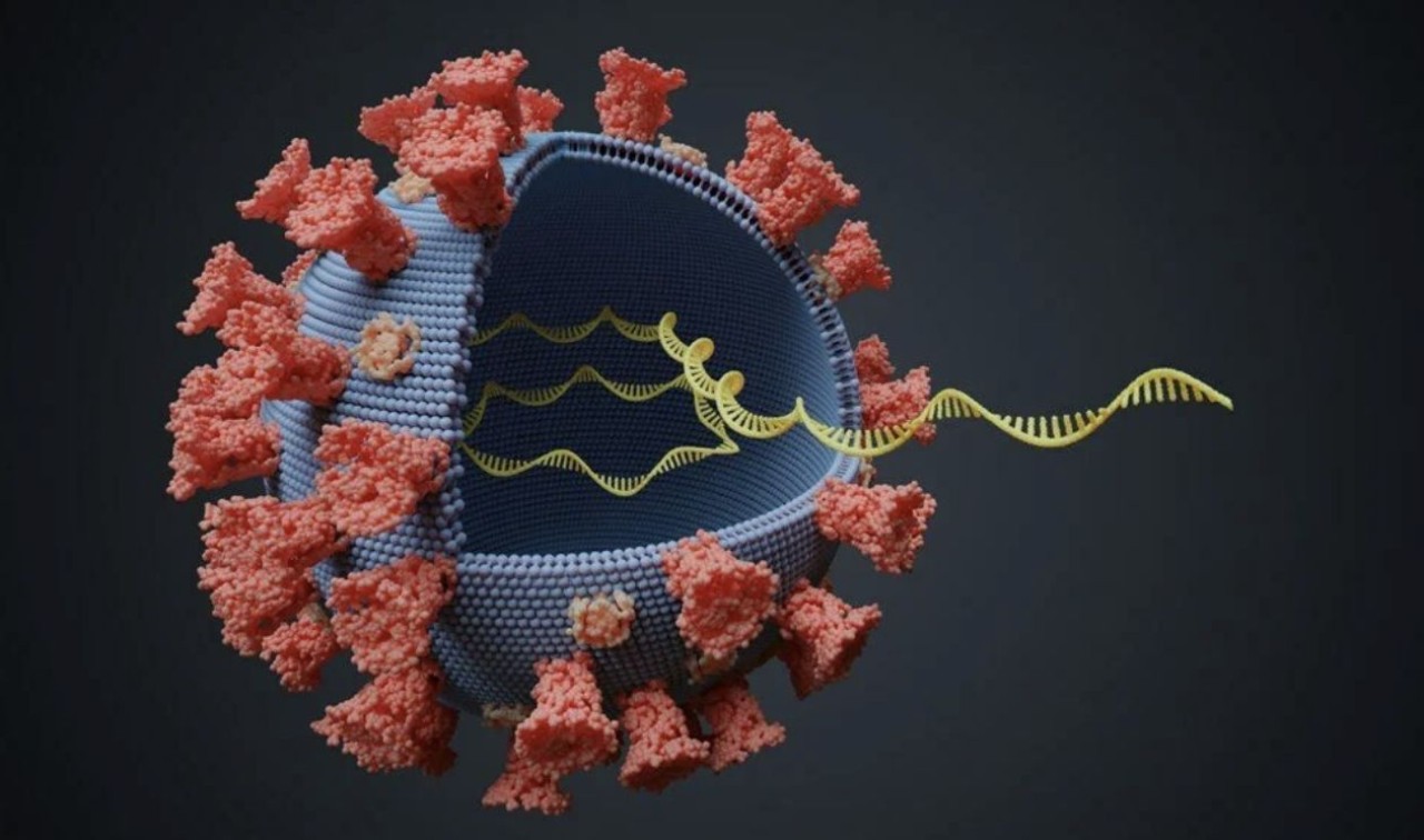 "Süper varyant" uyarısı! Daha bulaşıcı,  daha ölümcül...