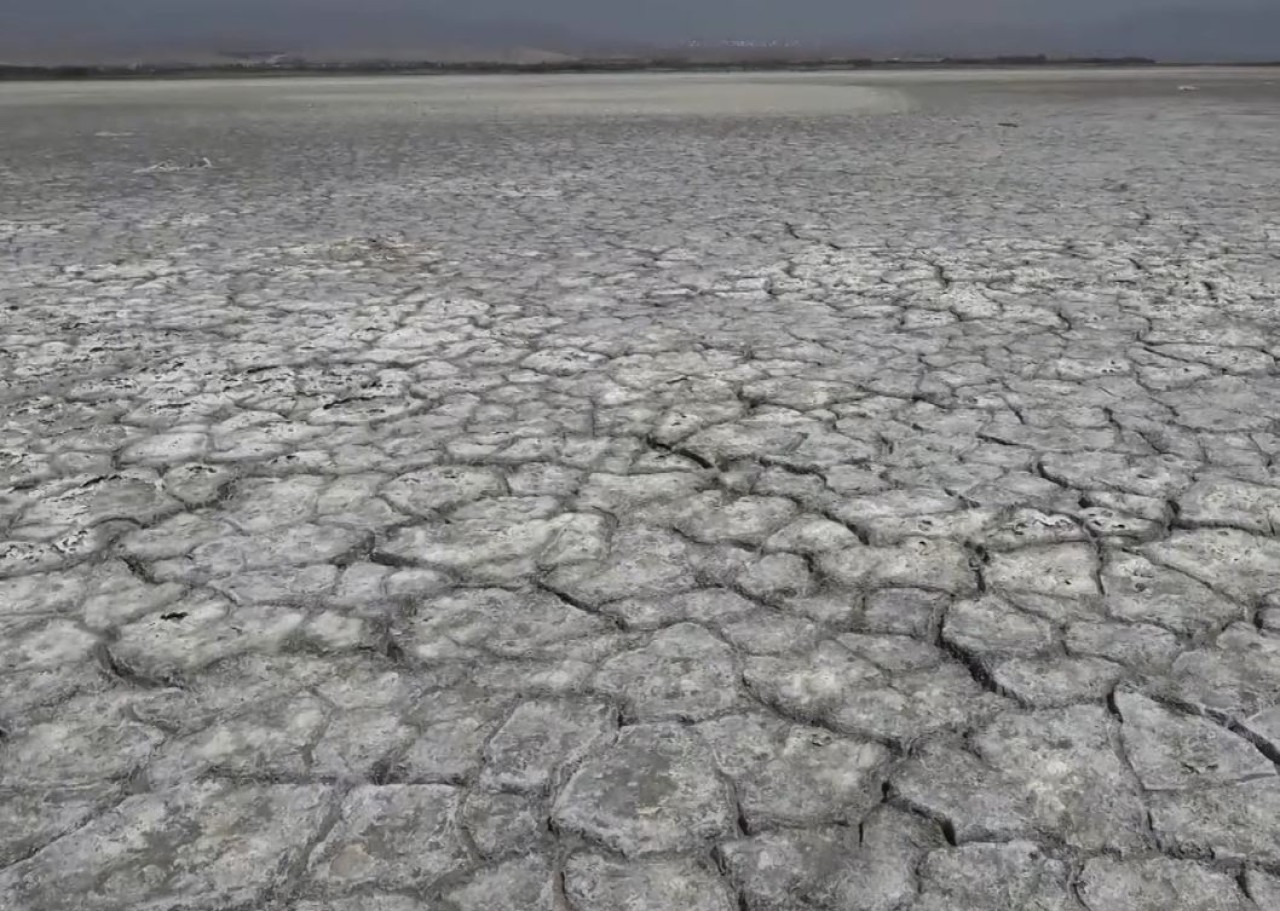 Van Gölü'nde korkutan manzara!