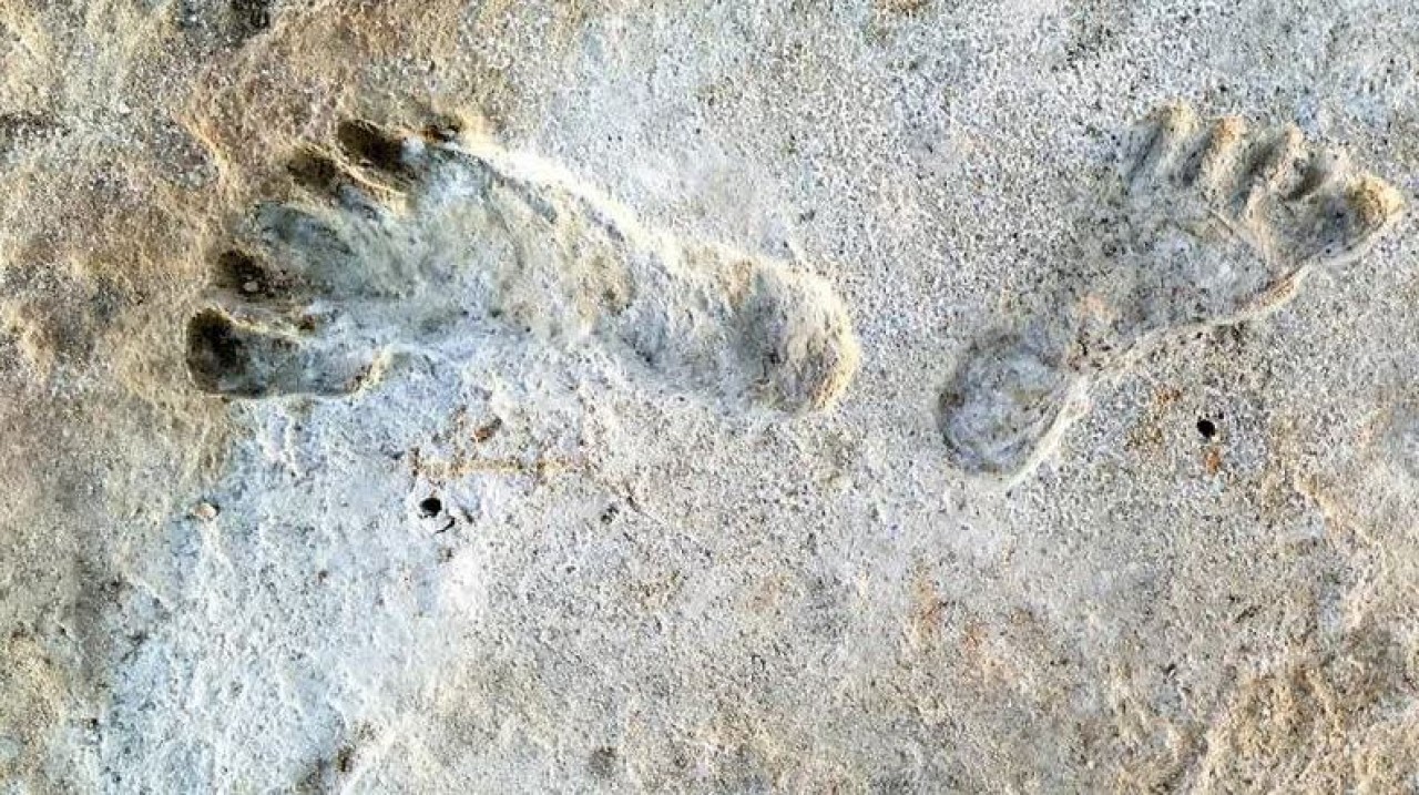 Amerika kıtasındaki en eski ayak izi bulundu!